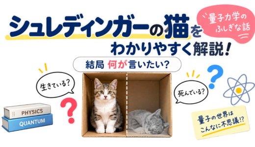 シュレディンガーの猫をわかりやすく解説！結局何が言いたい？